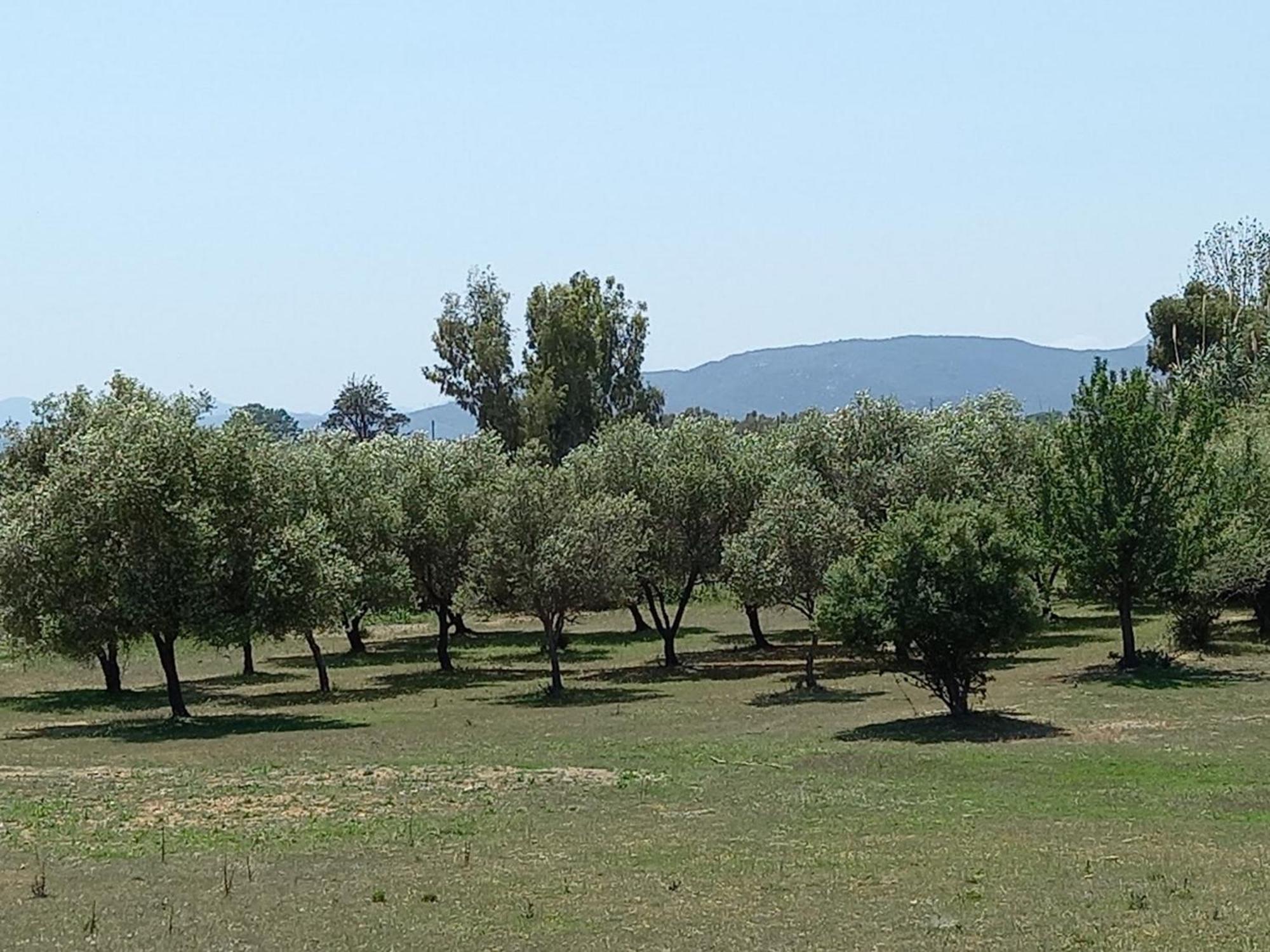 Basecamp Ogliastra - Flat Green Santa Maria Navarrese Extérieur photo